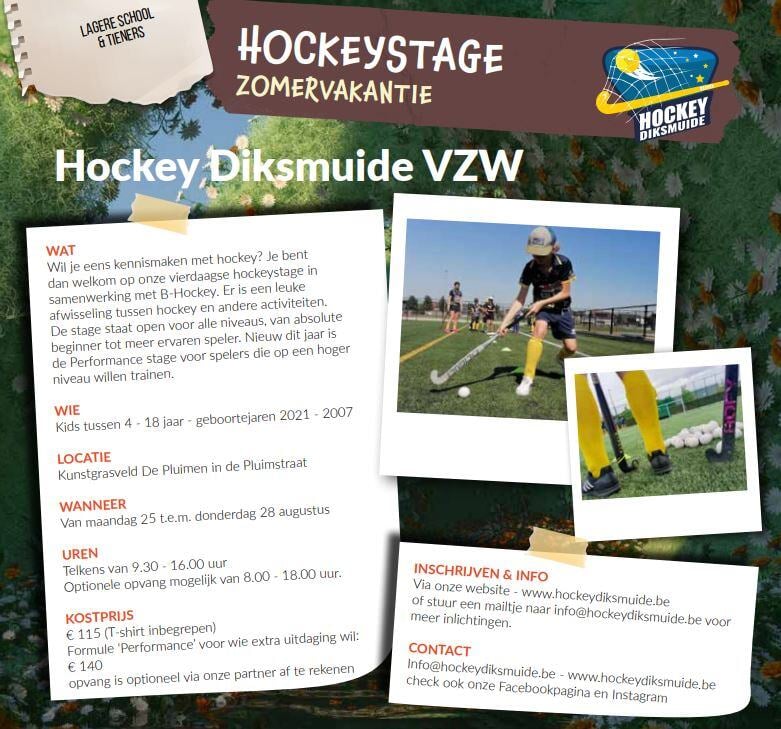 Hockeystage Hockey